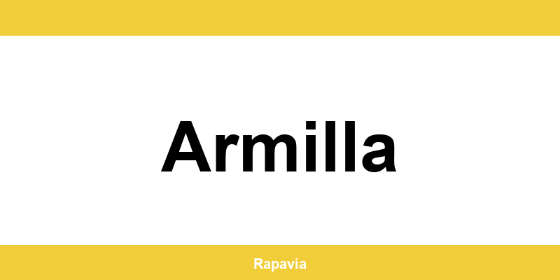 Punto InPost o Mondial Relay activo en Armilla